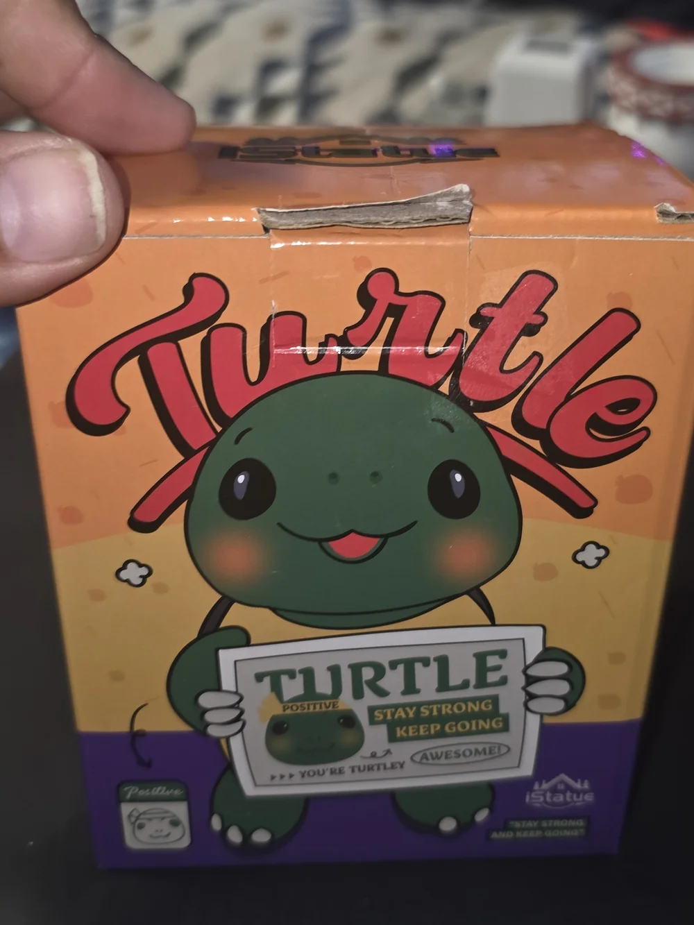 Green Turtle Habitat Figurine with Motivational Sign